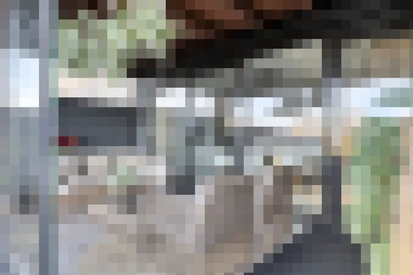 Lepelblad 31 Ilpendam thumbnail 33