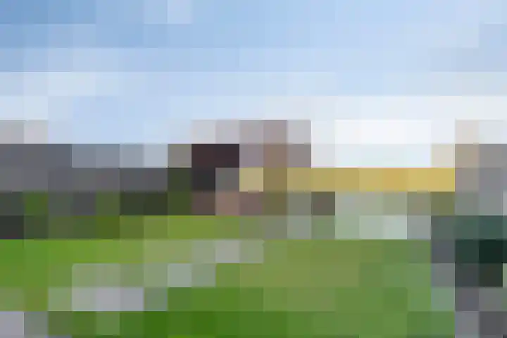 Lepelblad 31 Ilpendam thumbnail 34