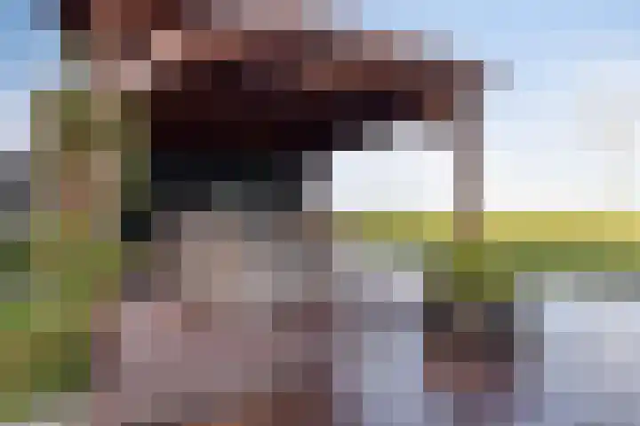 Lepelblad 31 Ilpendam thumbnail 35