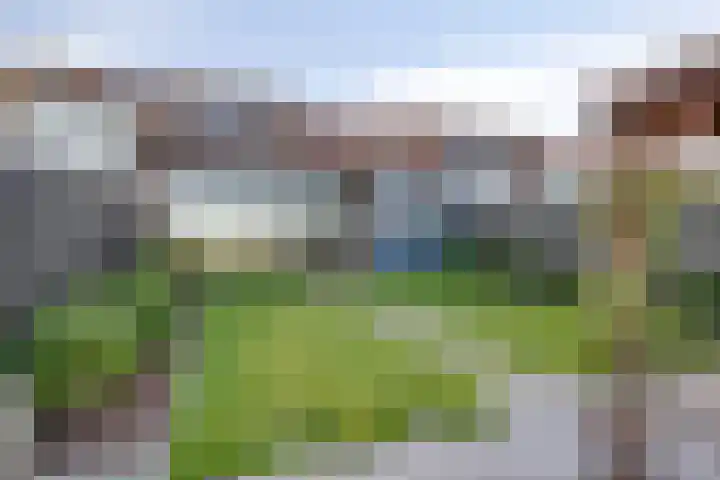 Lepelblad 31 Ilpendam thumbnail 36