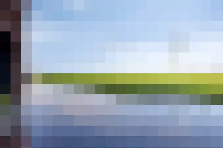 Lepelblad 31 Ilpendam thumbnail 37