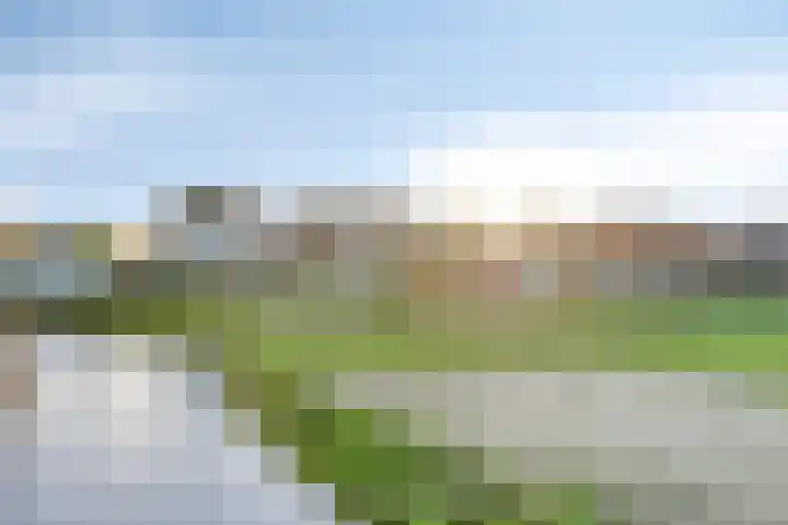 Lepelblad 31 Ilpendam thumbnail 38
