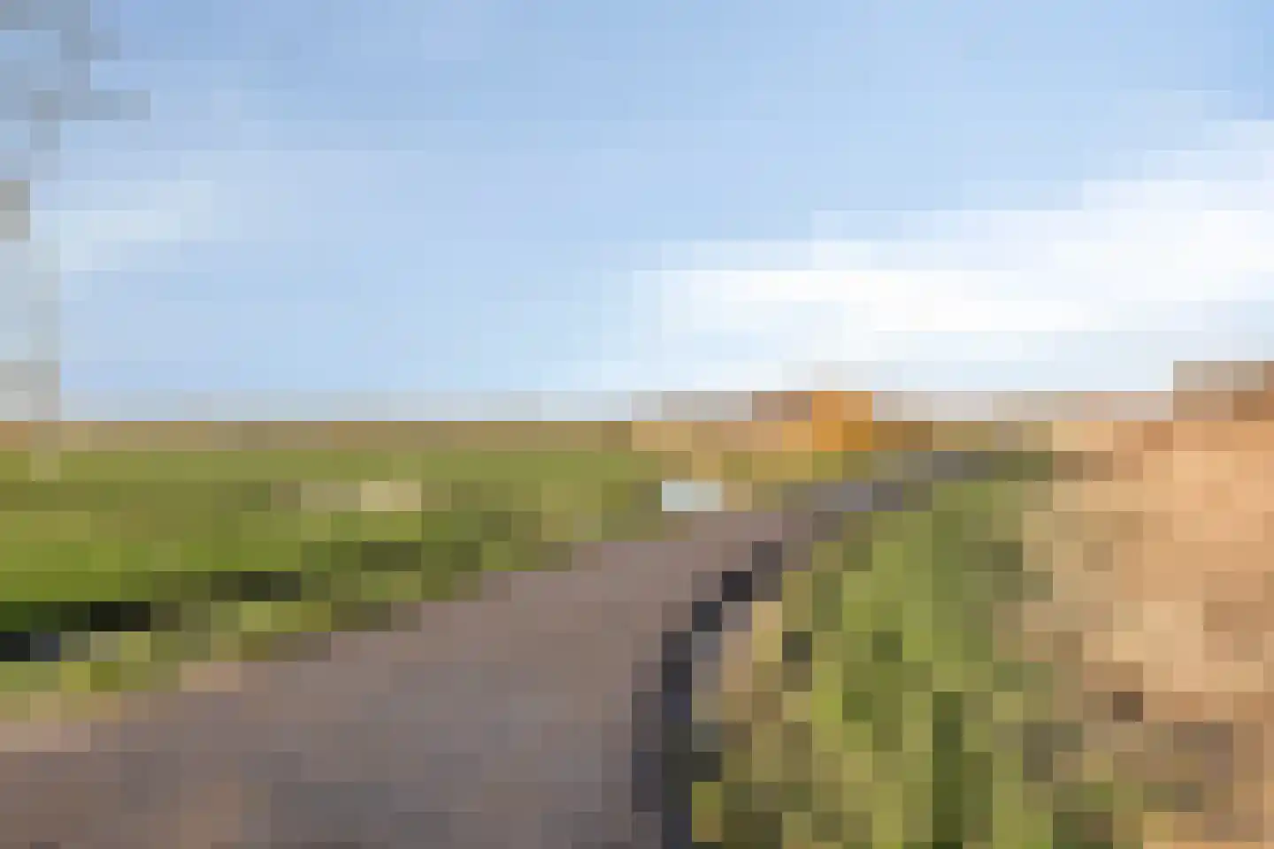 Lepelblad 31 Ilpendam thumbnail 39