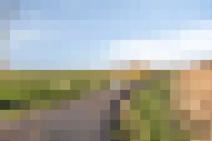 Lepelblad 31 Ilpendam thumbnail 39