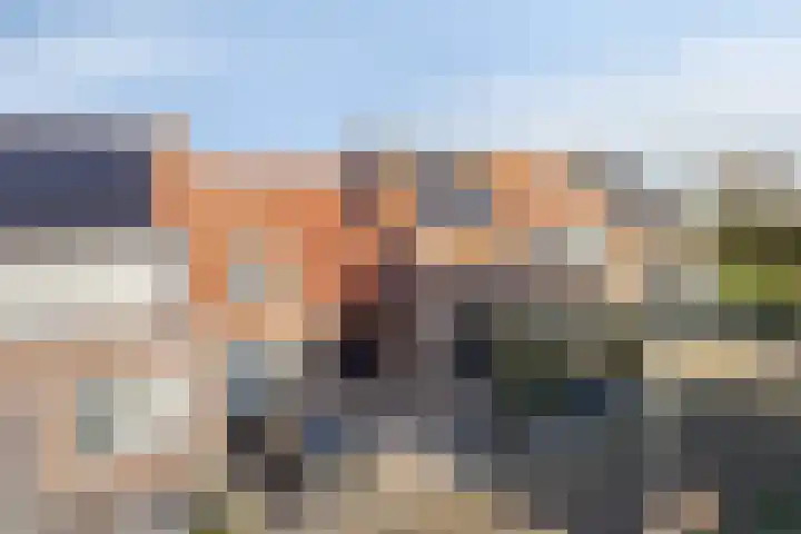 Lepelblad 31 Ilpendam thumbnail 40