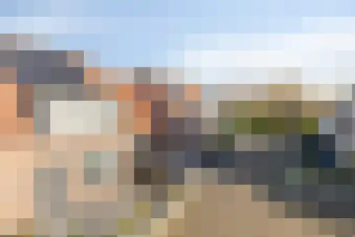 Lepelblad 31 Ilpendam thumbnail 42
