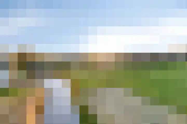 Lepelblad 31 Ilpendam thumbnail 43