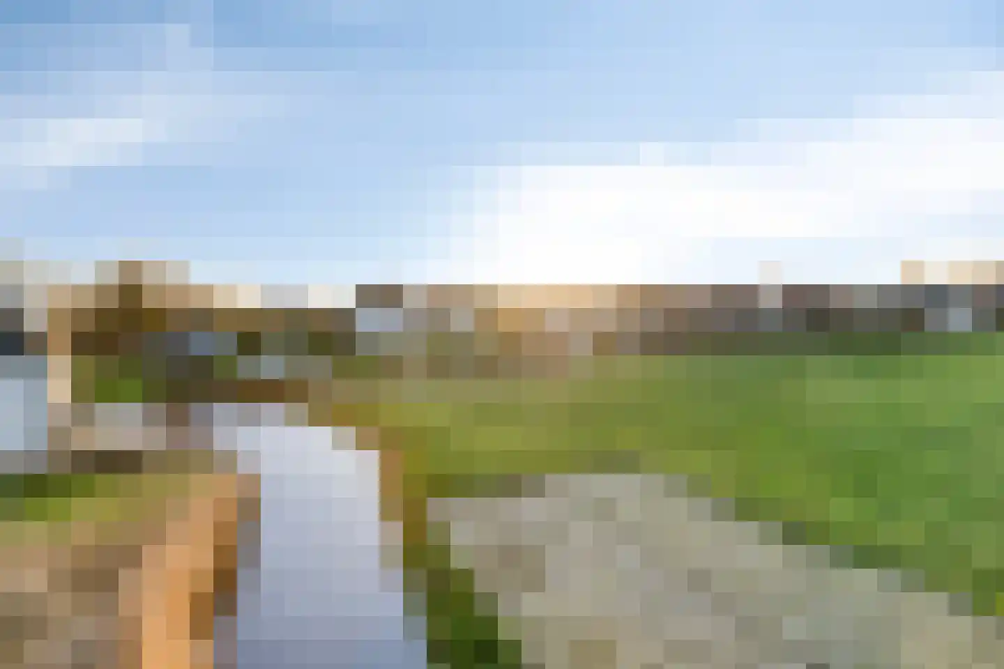 Lepelblad 31 Ilpendam thumbnail 43