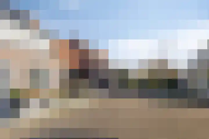 Lepelblad 31 Ilpendam thumbnail 44