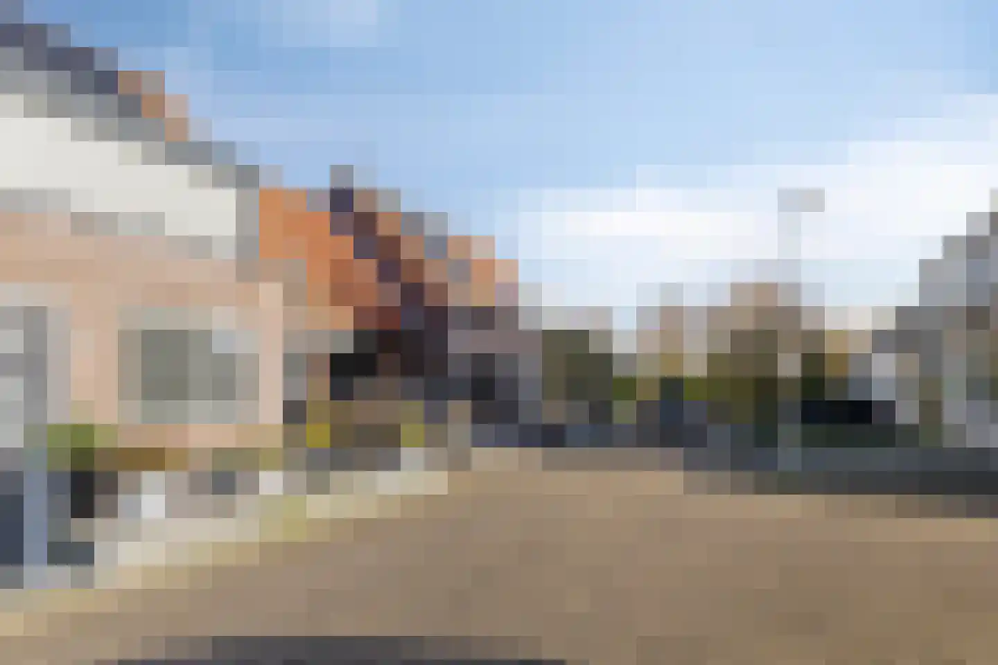 Lepelblad 31 Ilpendam thumbnail 44