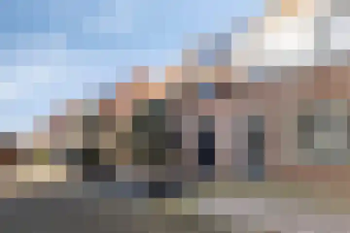 Lepelblad 31 Ilpendam thumbnail 45