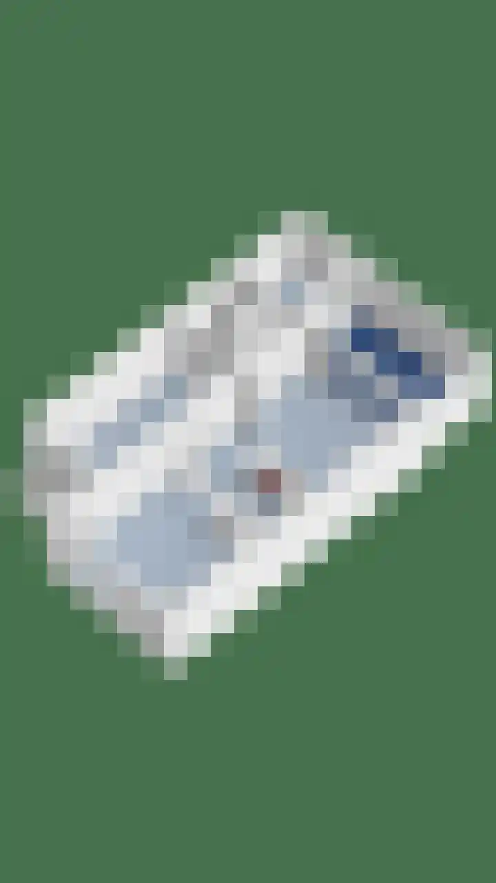 Lepelblad 31 Ilpendam thumbnail 50