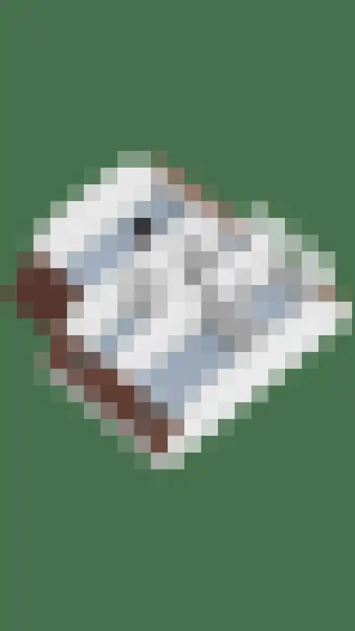 Lepelblad 31 Ilpendam thumbnail 51