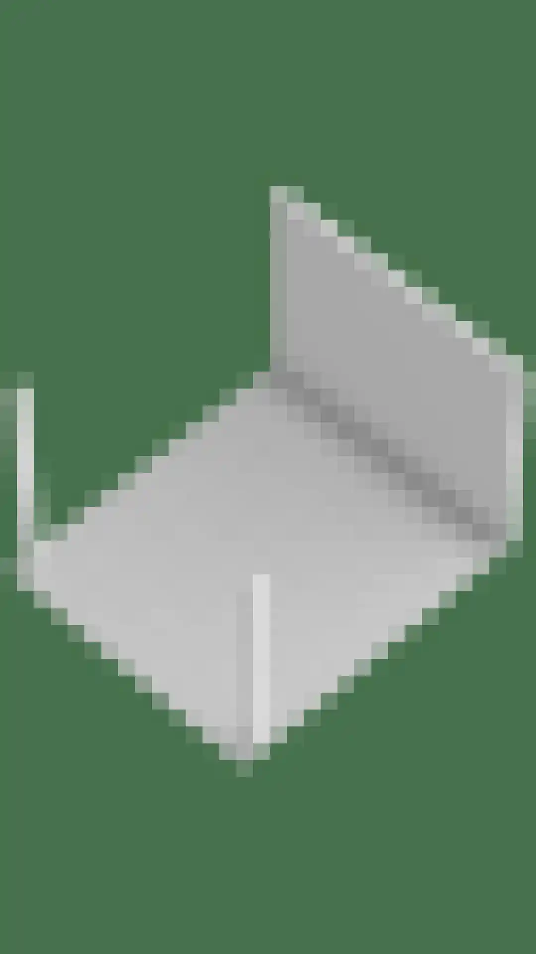 Lepelblad 31 Ilpendam thumbnail 53