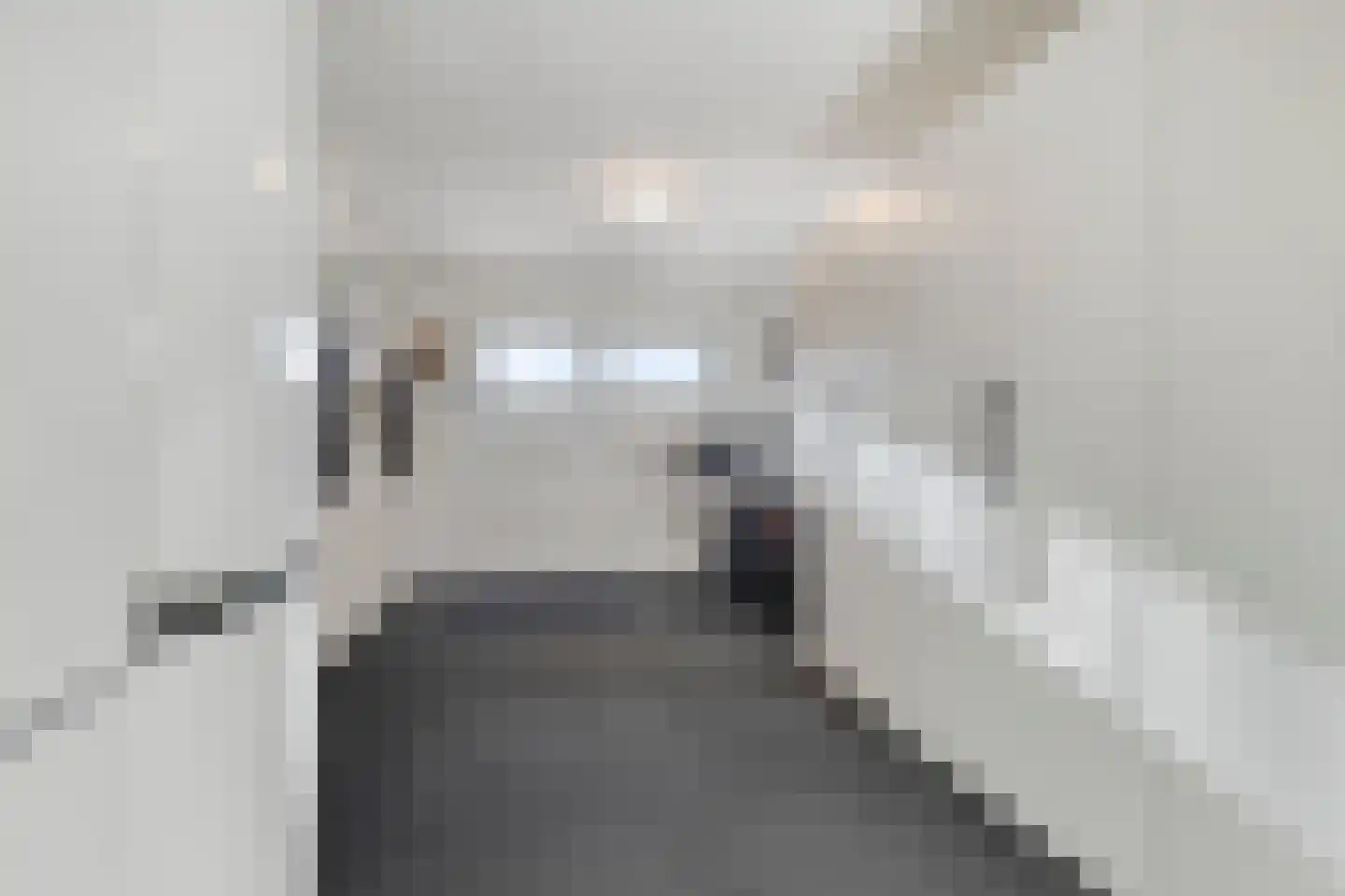 Lepelblad 31 Ilpendam thumbnail 7