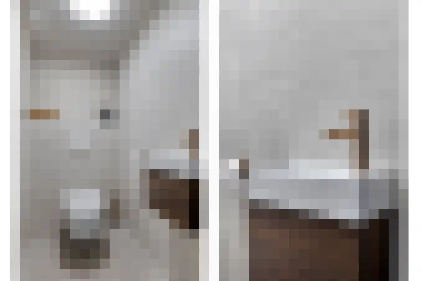 Lepelblad 31 Ilpendam thumbnail 9
