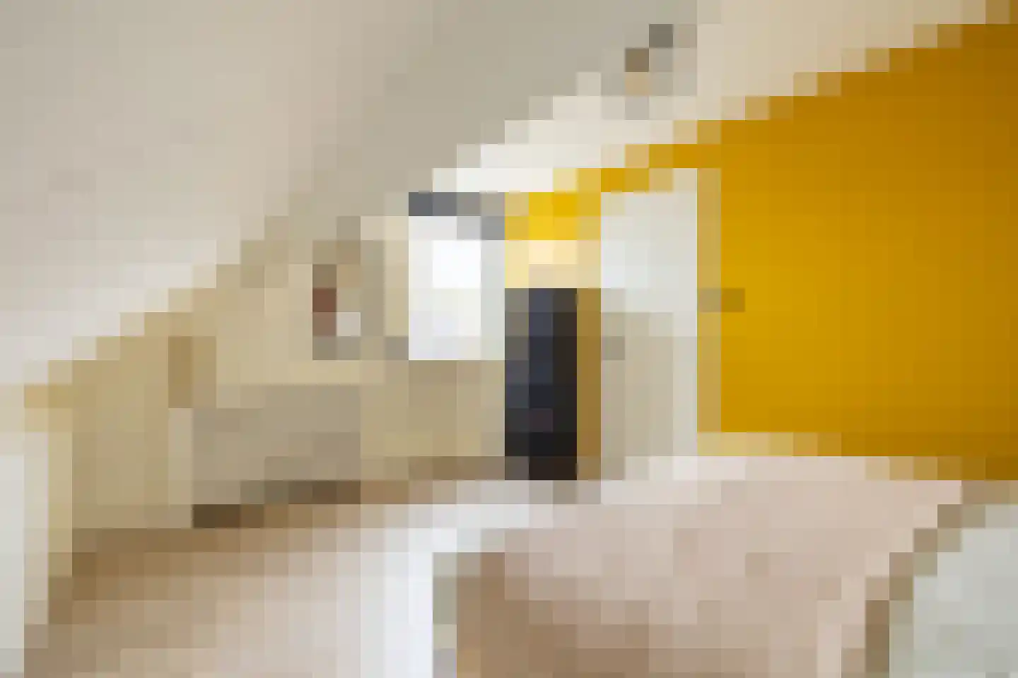 Lepelblad 34 Purmerend thumbnail 34