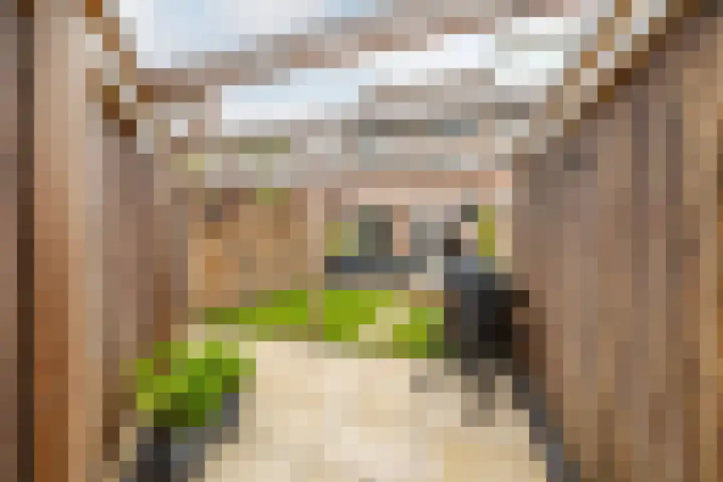 Lepelblad 34 Purmerend thumbnail 39