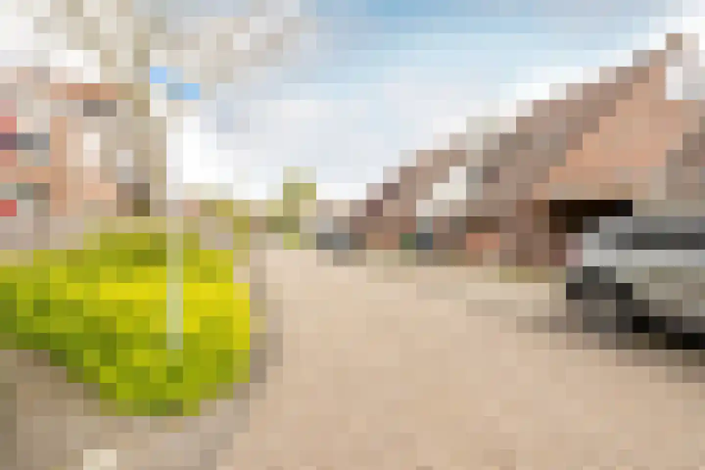 Lepelblad 34 Purmerend thumbnail 41