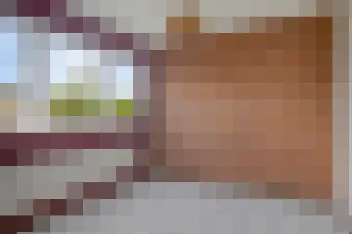 Lepelblad 38 Nieuwvliet thumbnail 10