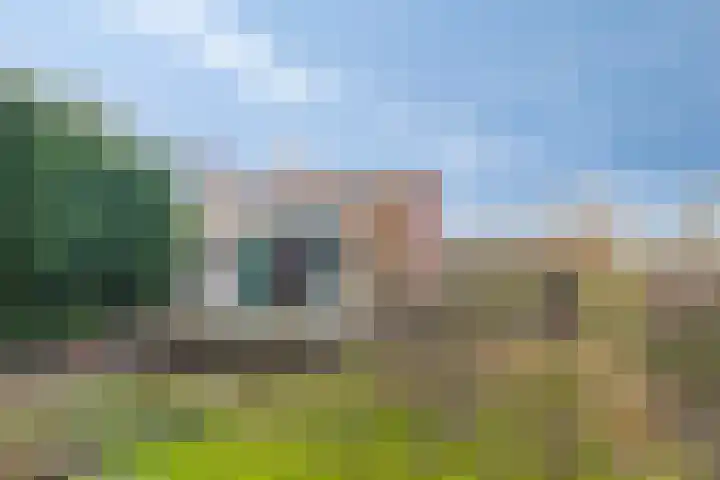 Lepelblad 38 Nieuwvliet thumbnail 18