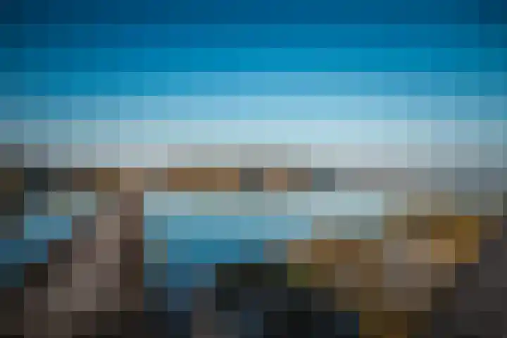 Lepelblad 38 Nieuwvliet thumbnail 19