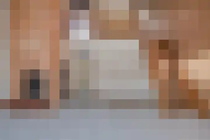 Lepelblad 38 Nieuwvliet thumbnail 4