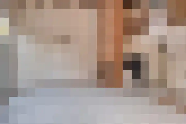 Lepelblad 38 Nieuwvliet thumbnail 5