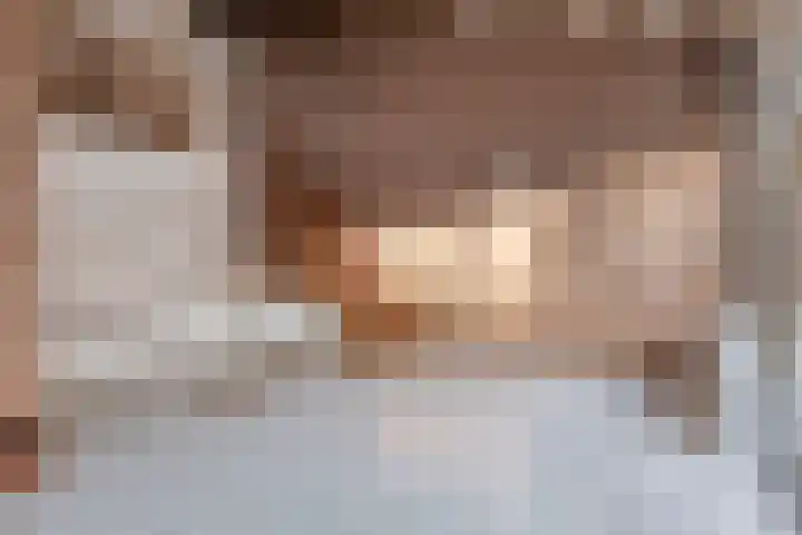 Lepelblad 38 Nieuwvliet thumbnail 6