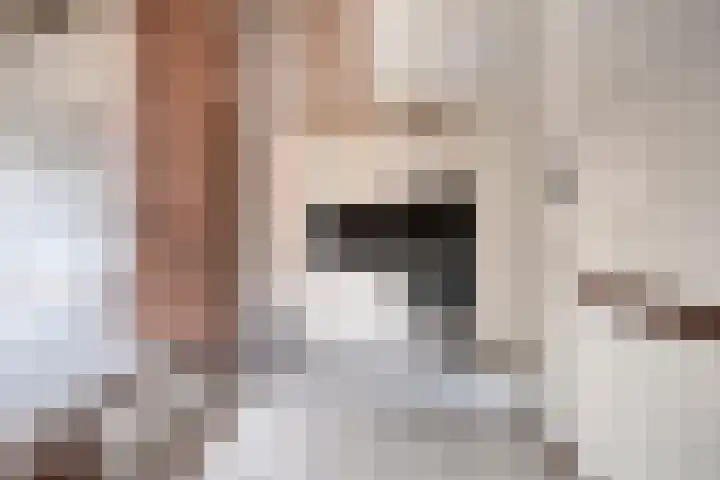 Lepelblad 38 Nieuwvliet thumbnail 7
