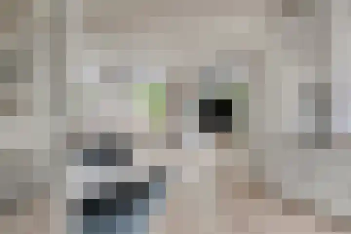 Lepelblad 6 Purmerend thumbnail 13