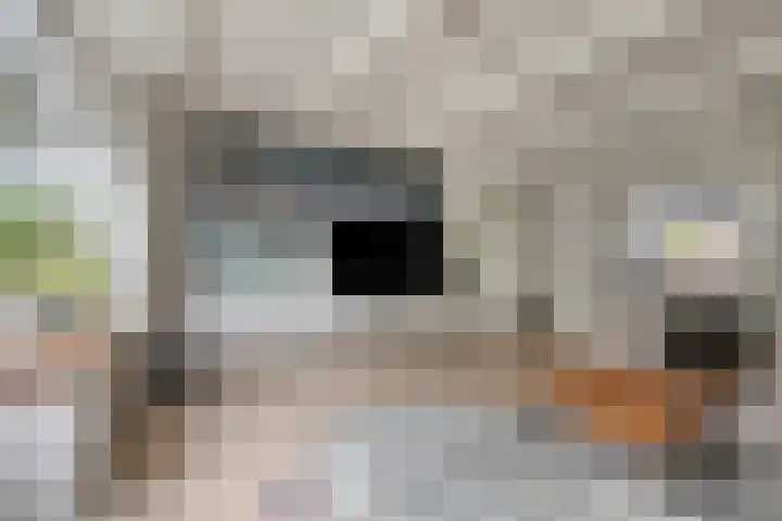 Lepelblad 6 Purmerend thumbnail 15