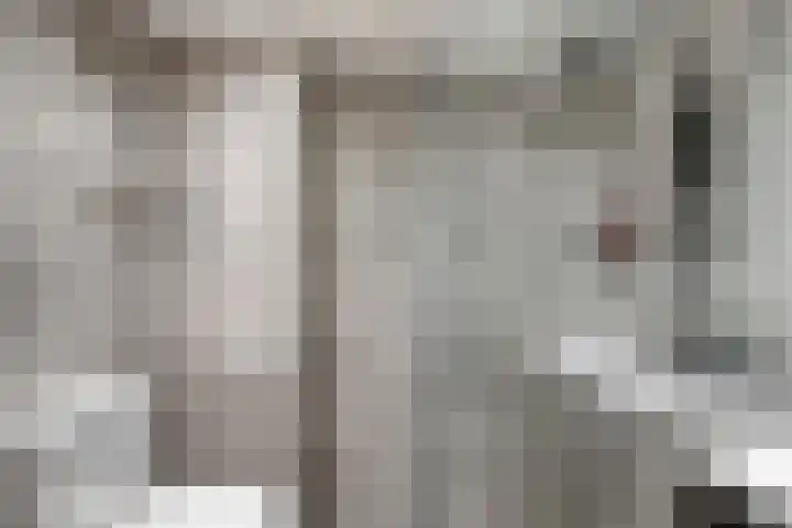 Lepelblad 6 Purmerend thumbnail 25