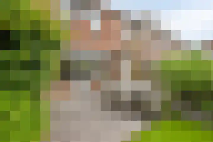 Lepelblad 6 Purmerend thumbnail 34