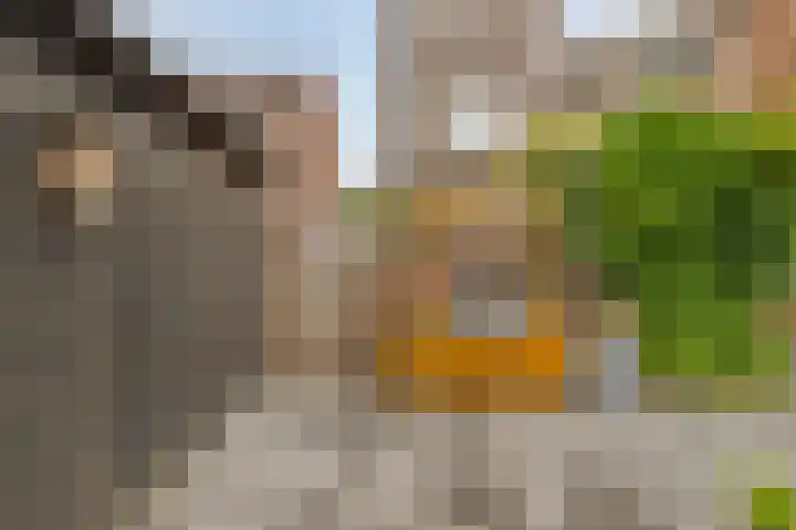 Lepelblad 6 Purmerend thumbnail 35