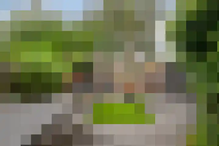Lepelblad 6 Purmerend thumbnail 36