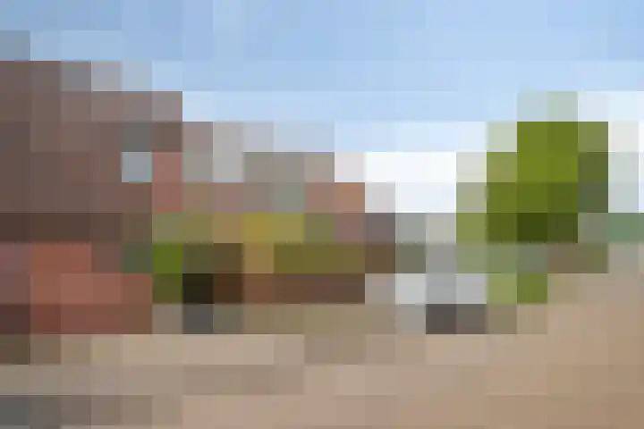 Lepelblad 6 Purmerend thumbnail 37