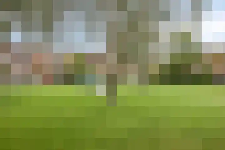 Lepelblad 6 Purmerend thumbnail 38
