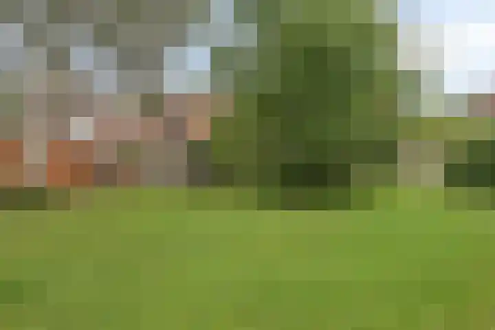 Lepelblad 6 Purmerend thumbnail 39