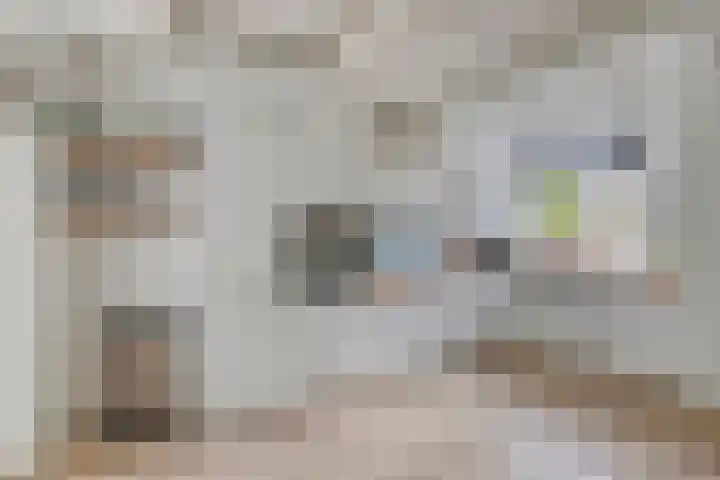 Lepelblad 6 Purmerend thumbnail 4