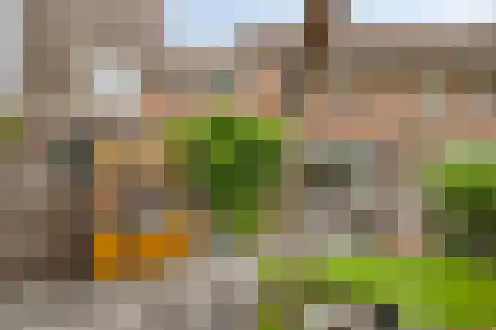Lepelblad 6 Purmerend thumbnail 6