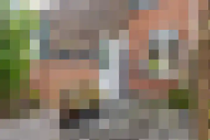 Lepelblad 6 Purmerend thumbnail 8