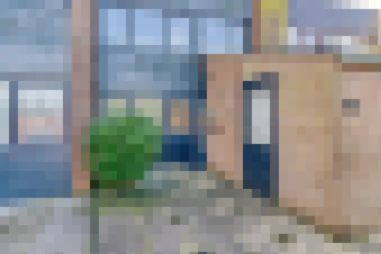 Lepelblad 62 Nieuwvliet