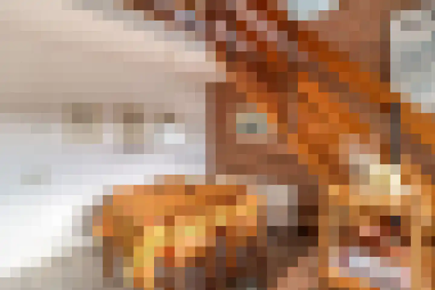 Lepelblad 62 Nieuwvliet thumbnail 13