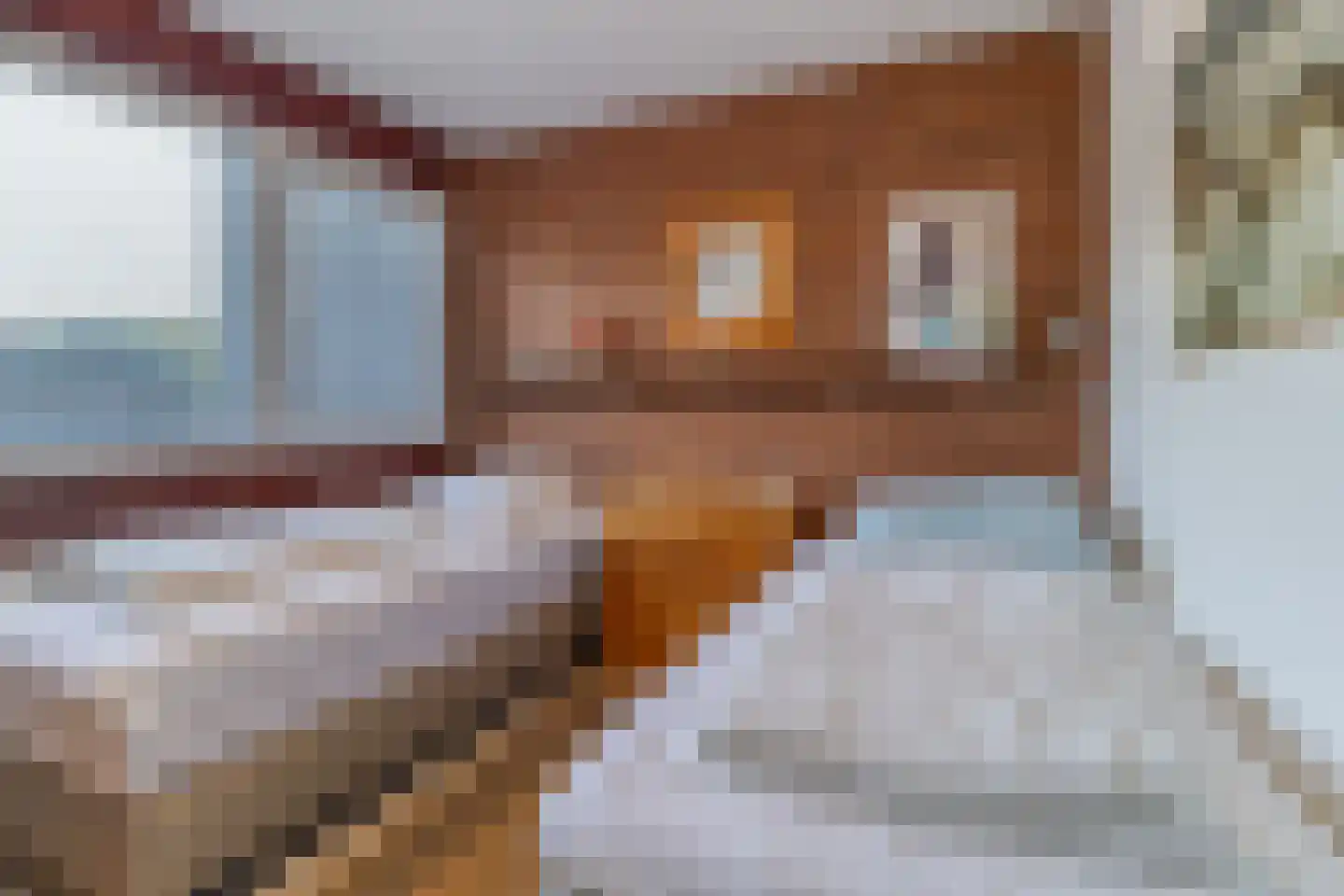 Lepelblad 62 Nieuwvliet thumbnail 15