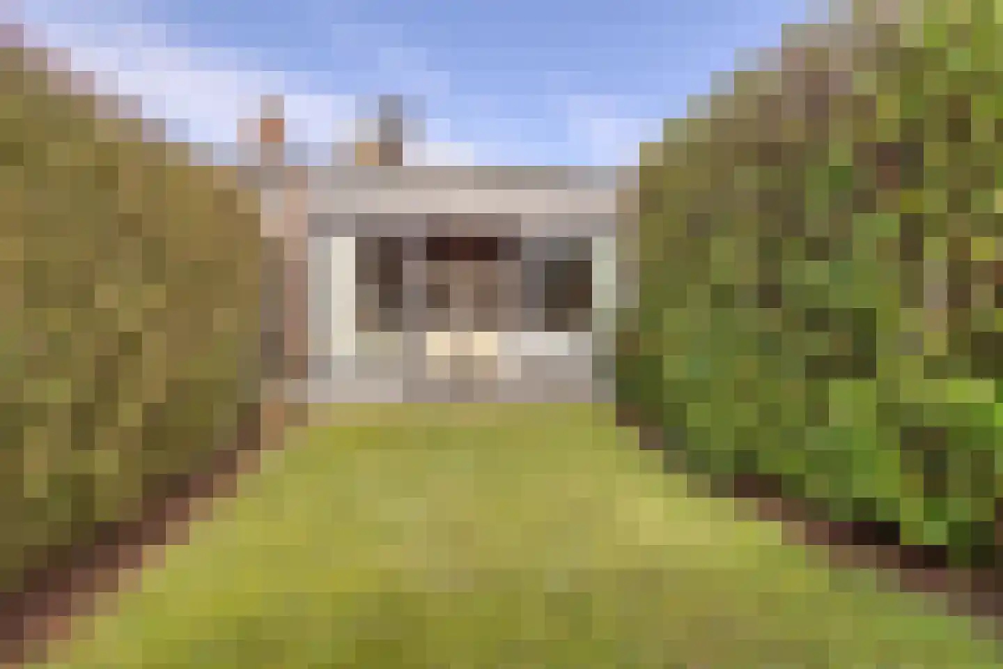 Lepelblad 62 Nieuwvliet thumbnail 23