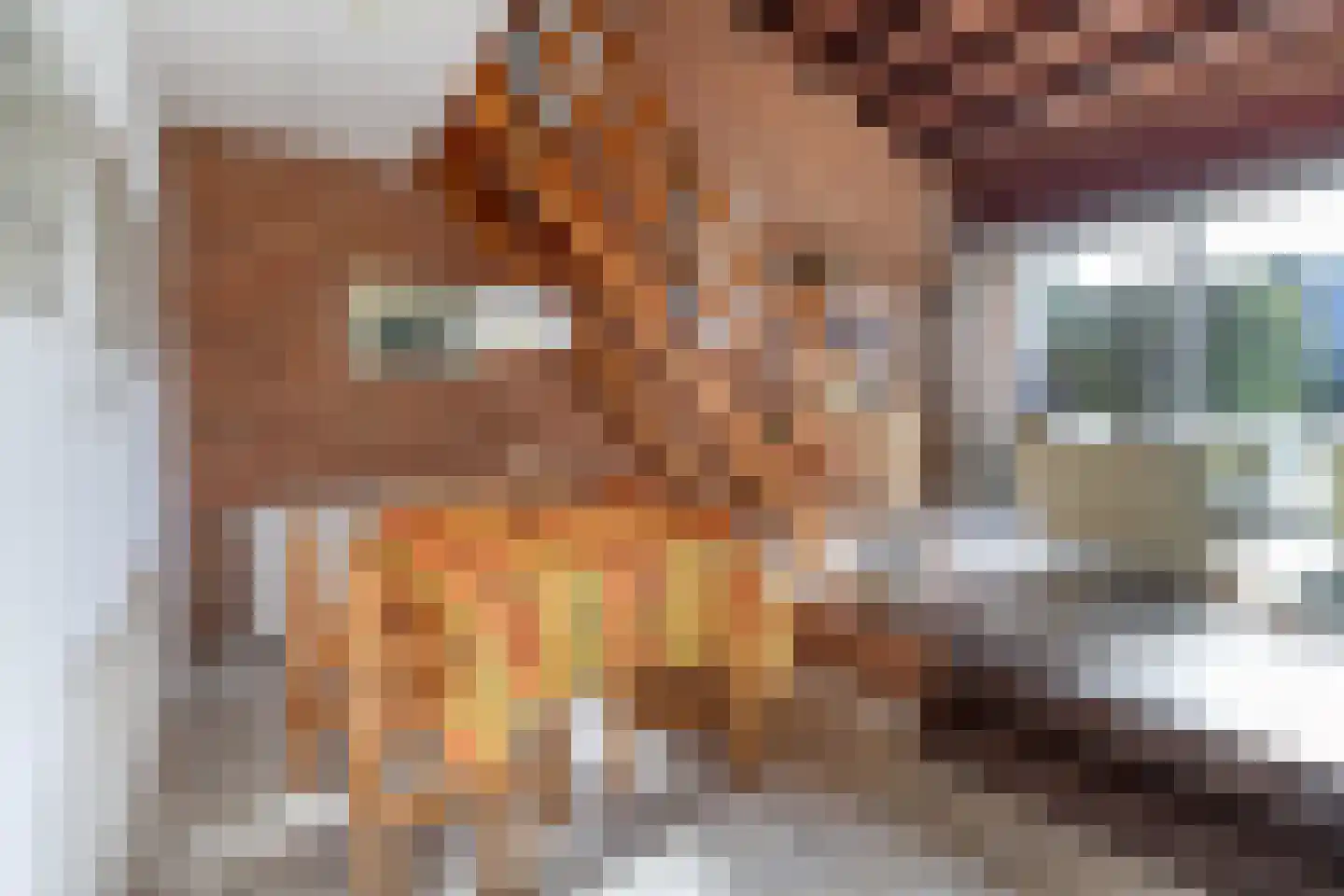 Lepelblad 62 Nieuwvliet thumbnail 4