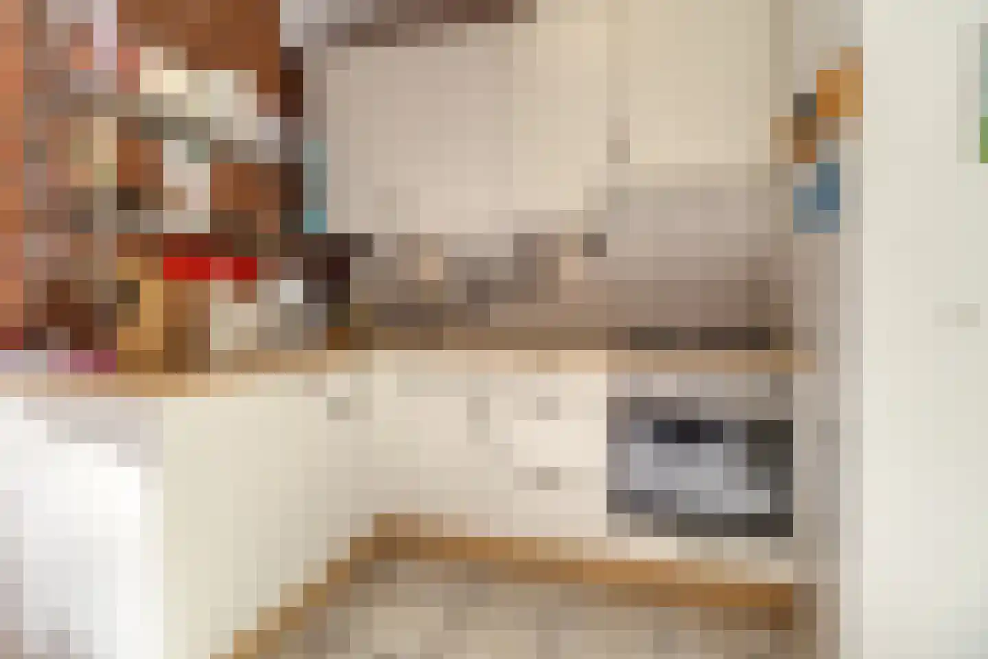 Lepelblad 62 Nieuwvliet thumbnail 5