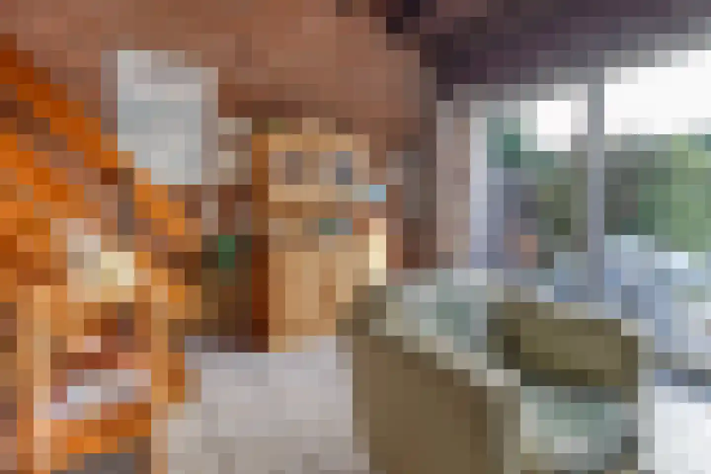 Lepelblad 62 Nieuwvliet thumbnail 8