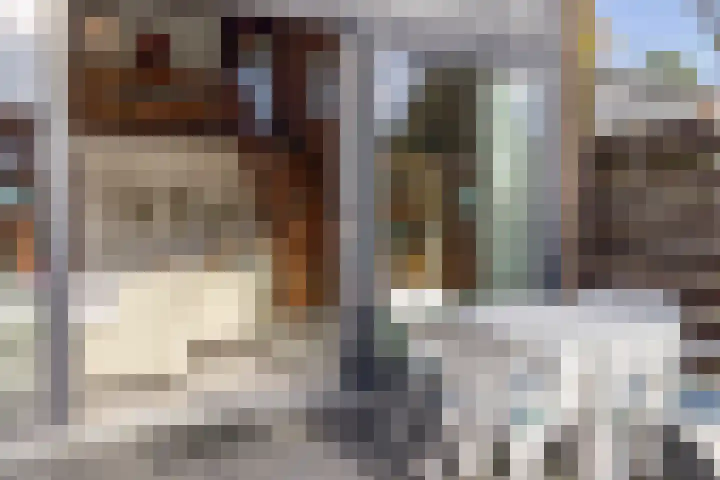 Lepelblad 62 Nieuwvliet thumbnail 9